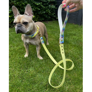 Duo Full Leash Graphic RAINBOW