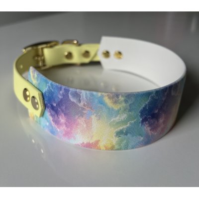 Duo Collar Graphic RAINBOW